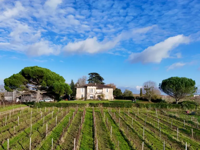 Viinintekijäillallinen: Bistro x Carsin 